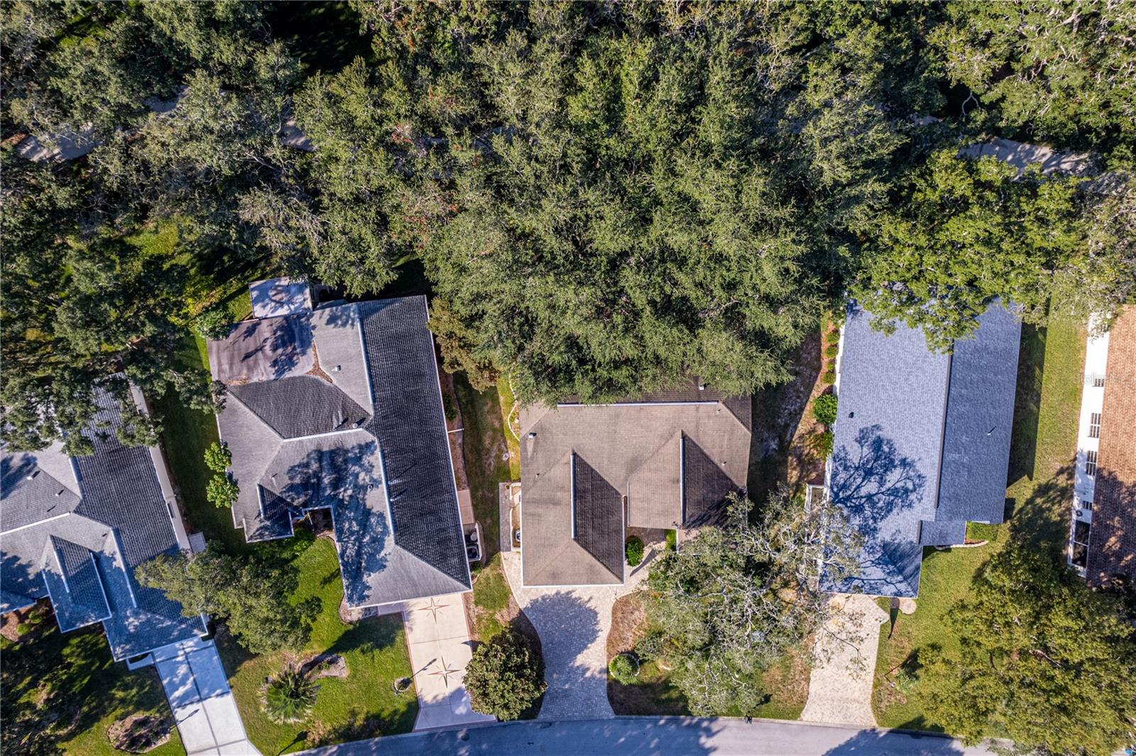 TIMBER PINES - Residential