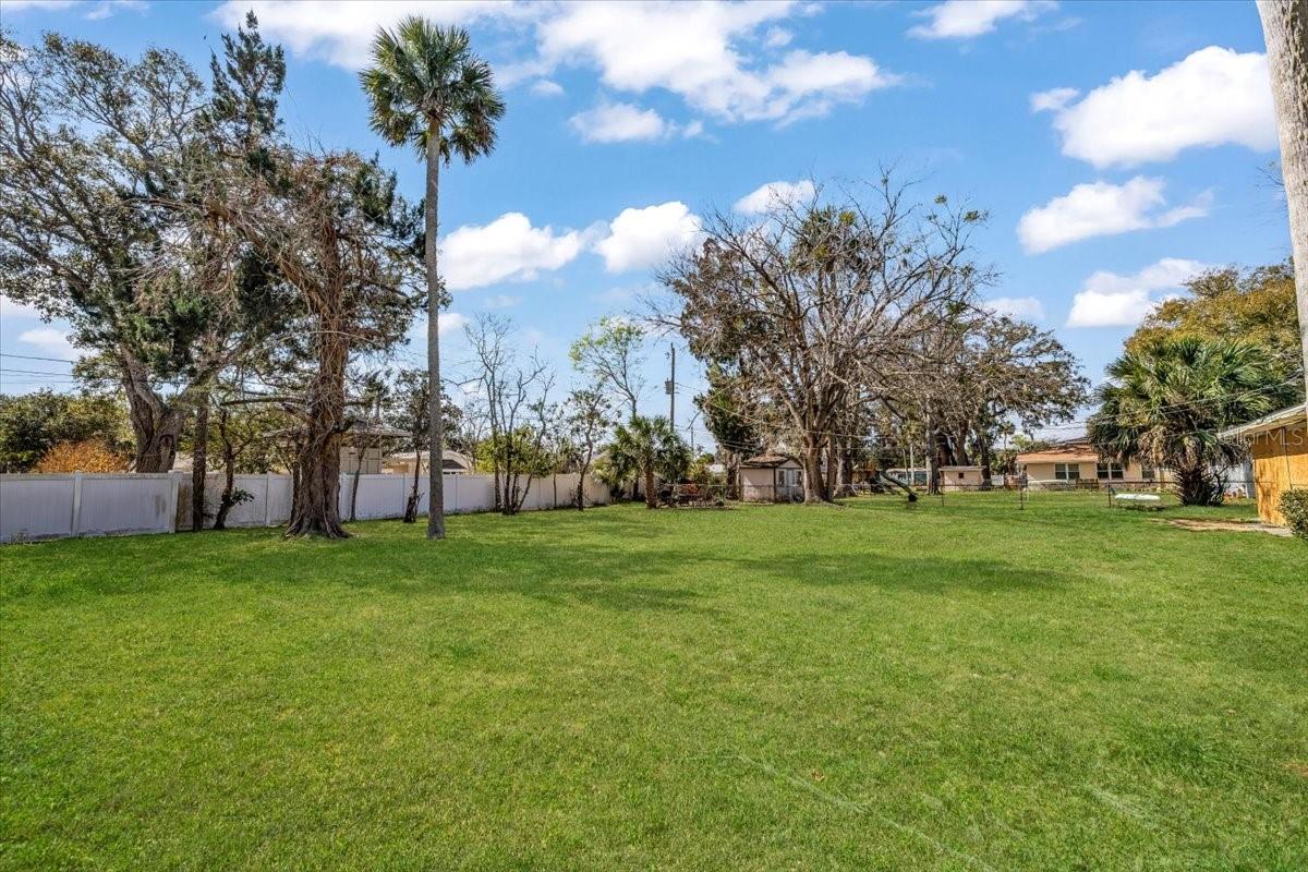 PALM GROVE - Residential