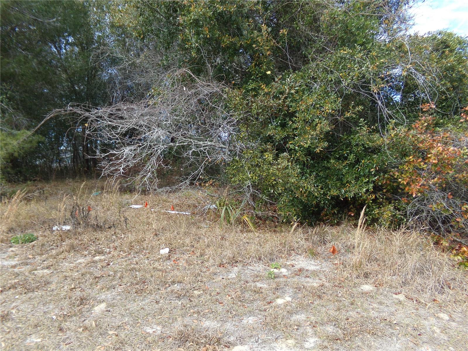 DELTONA LAKES UNIT 39 - Land