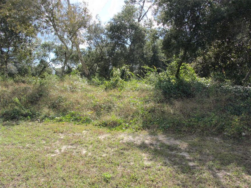 This property is situated in a booming area of Deltona right across the street from Aldi and near a busy intersection. Amazon is only a couple of miles away as well. There are three lots available giving you 165' of frontage on Catalina and 150' of frontage on Bonkirk. The 3 lots must be sold together. See 1684 and 1688 Catalina as well.