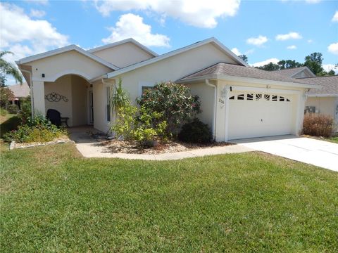 236 RIDGE VIEW DRIVE DAVENPORT FL 33837