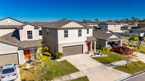 A home in APOLLO BEACH