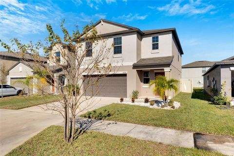 A home in APOLLO BEACH