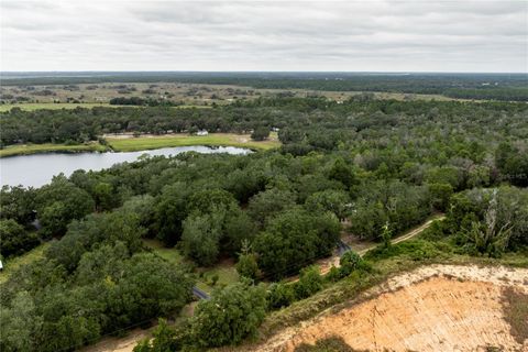 Tiny photo for 10135 N Em En El Grove Road, Leesburg, FL 34788 (MLS # G5102923)