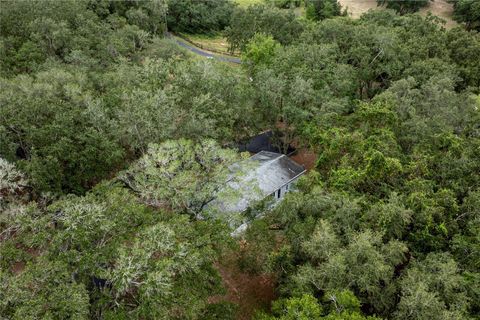 Tiny photo for 10135 N Em En El Grove Road, Leesburg, FL 34788 (MLS # G5102923)