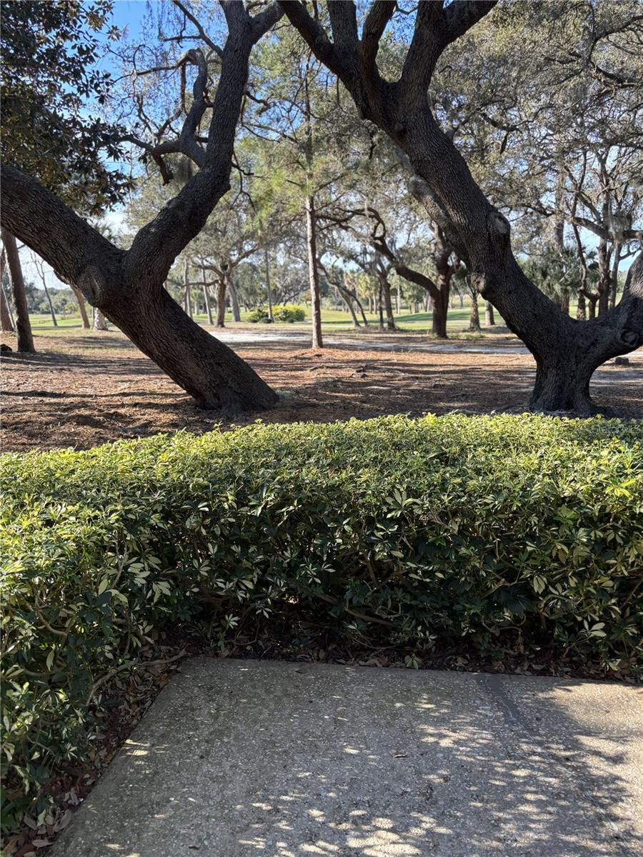 INNISBROOK 9 - Residential