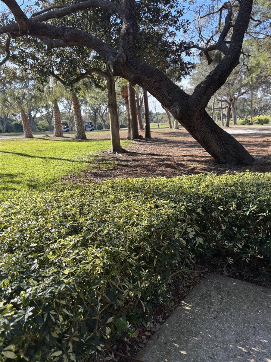 INNISBROOK 9 - Residential