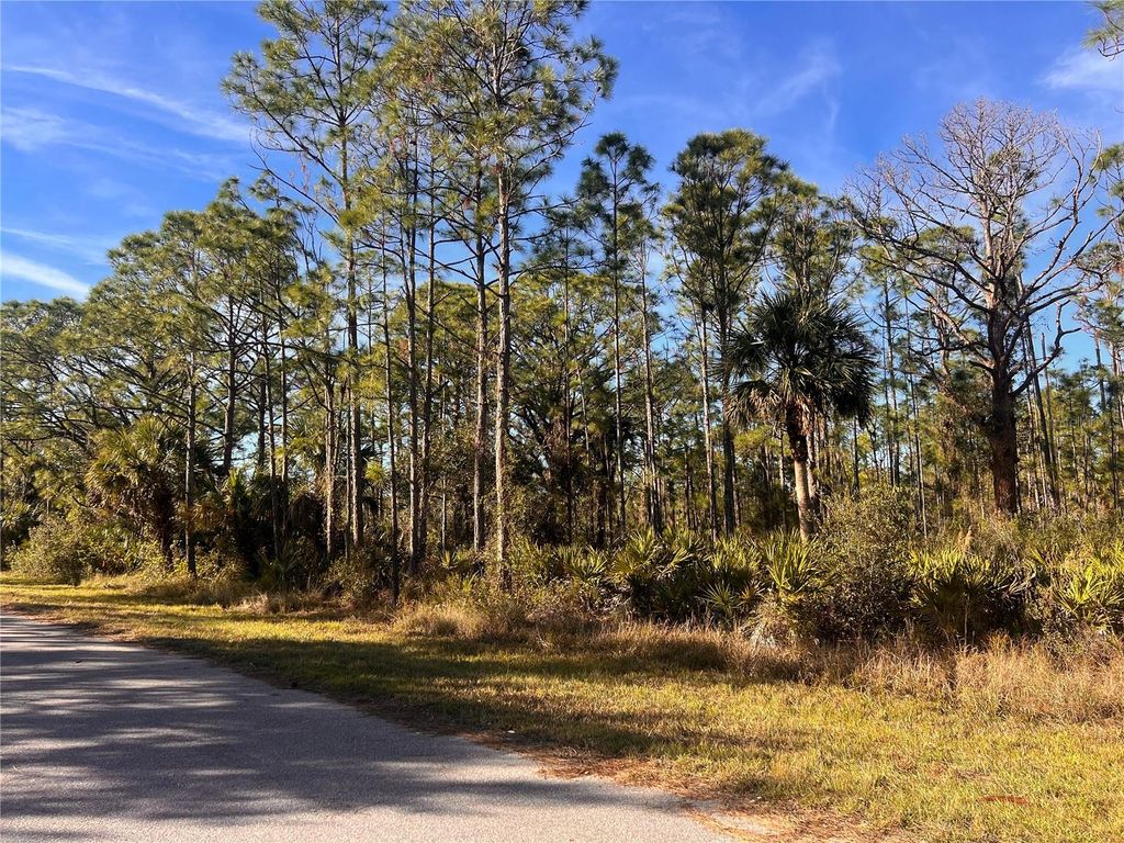 Photo of 13084 Harbison Avenue, Port Charlotte, FL 33953 (MLS # A4634738)