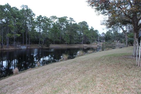 A home in PALM COAST