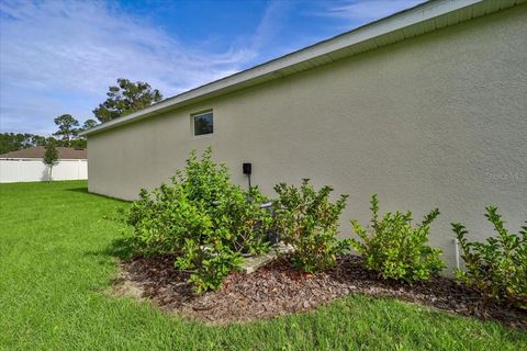 A home in PALM COAST