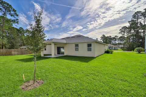 A home in PALM COAST