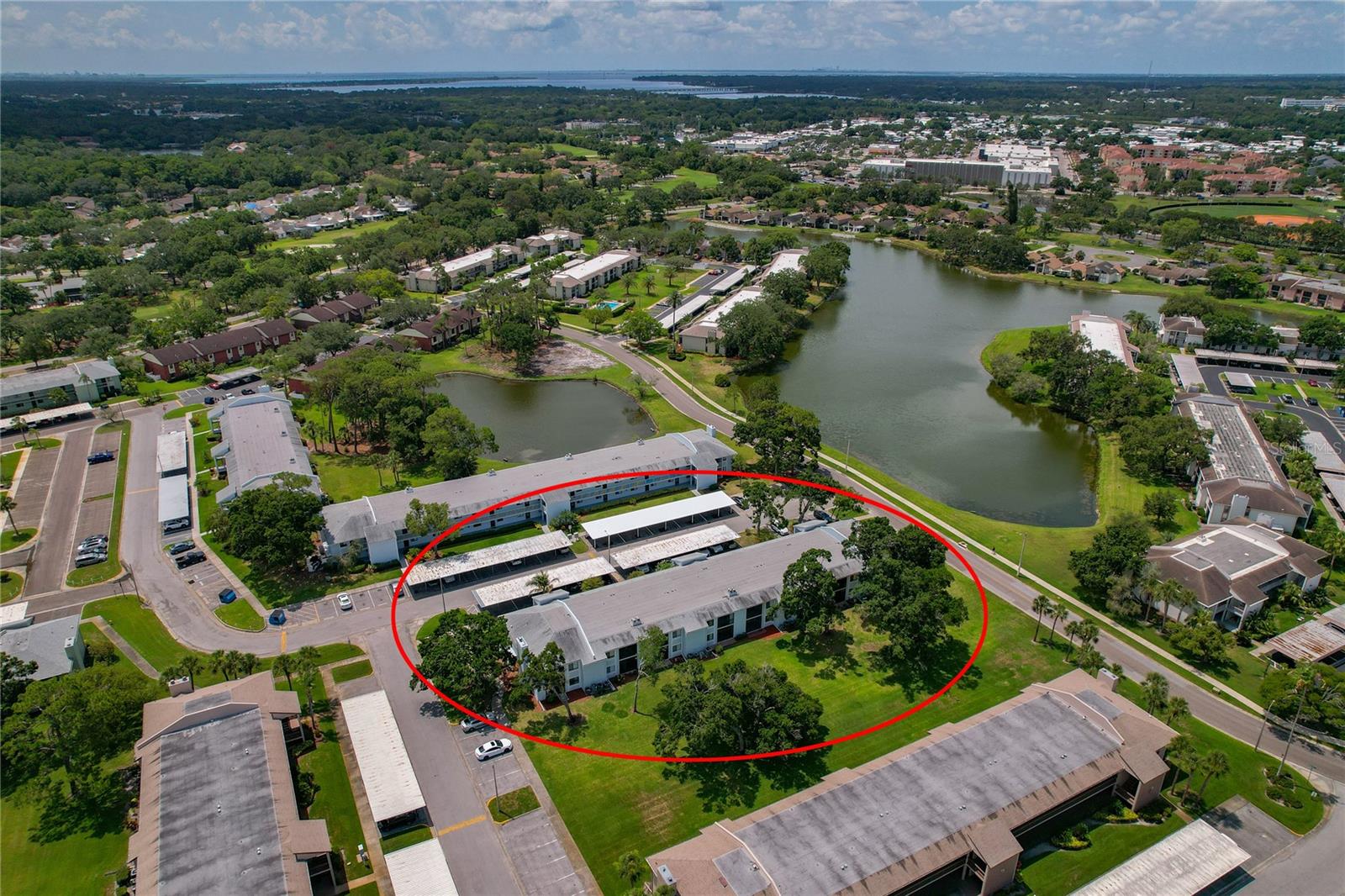 EAST LAKE WOODLANDS CONDO - Residential