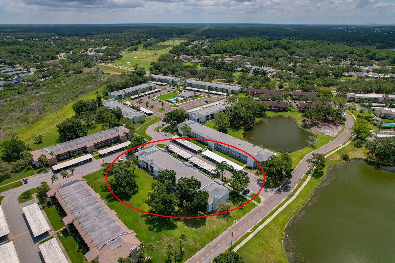 EAST LAKE WOODLANDS CONDO - Residential