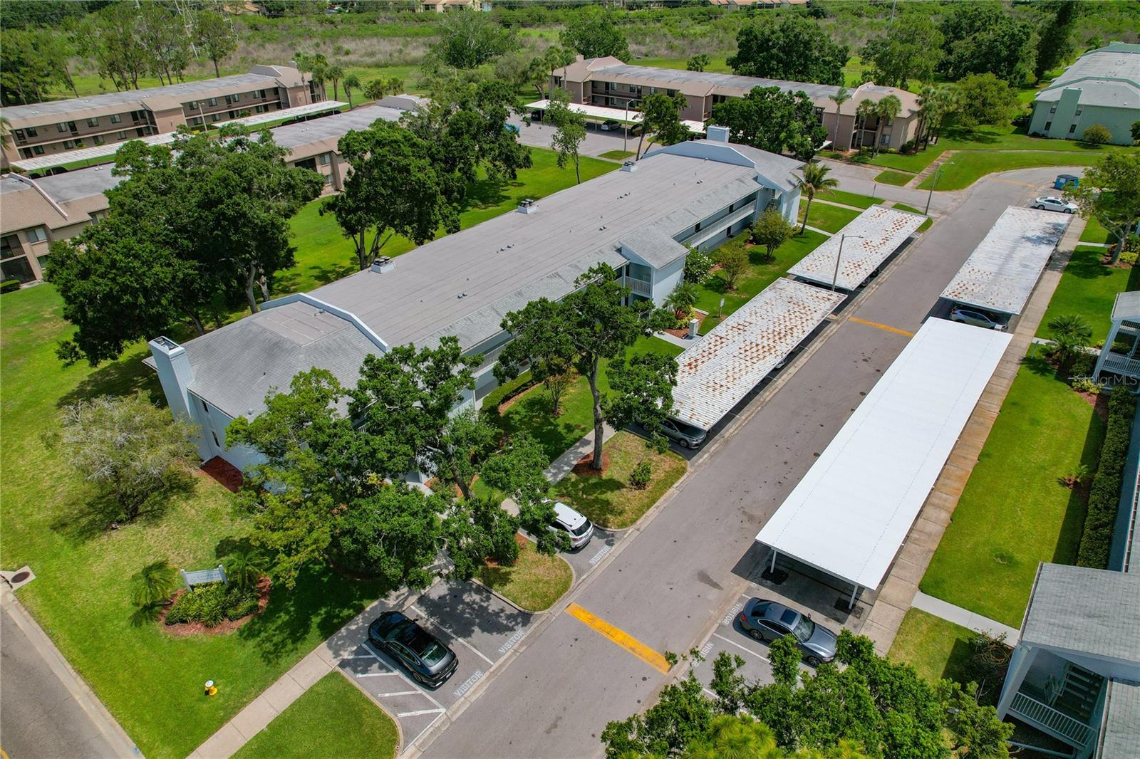 EAST LAKE WOODLANDS CONDO - Residential