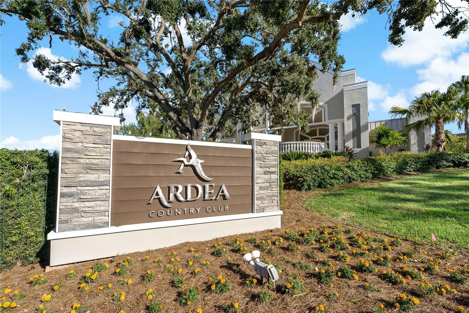 EAST LAKE WOODLANDS CONDO - Residential