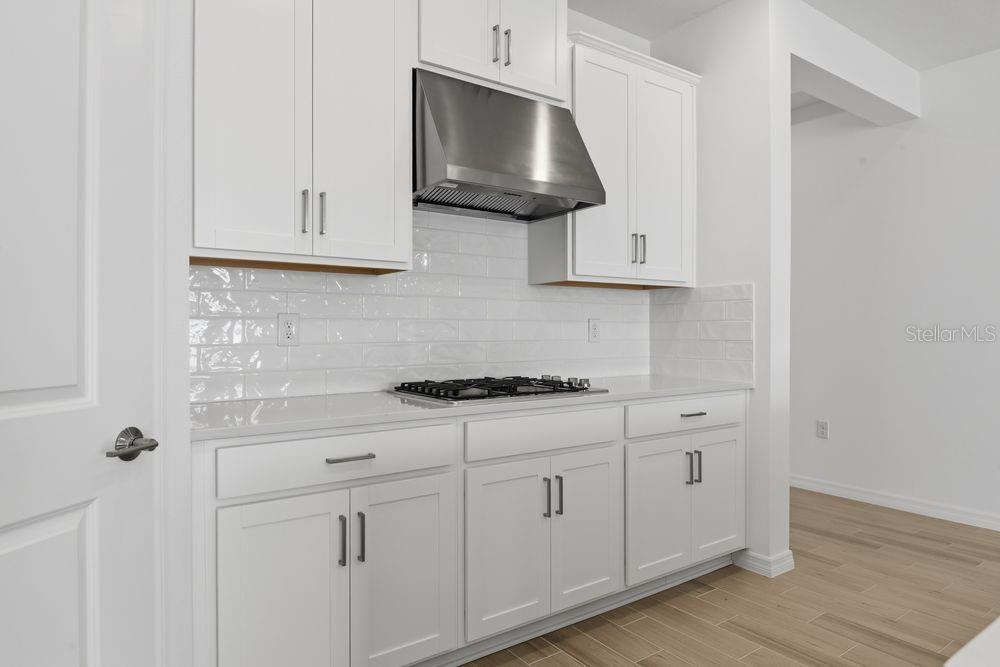 574 MOON SHELL CIRCLE