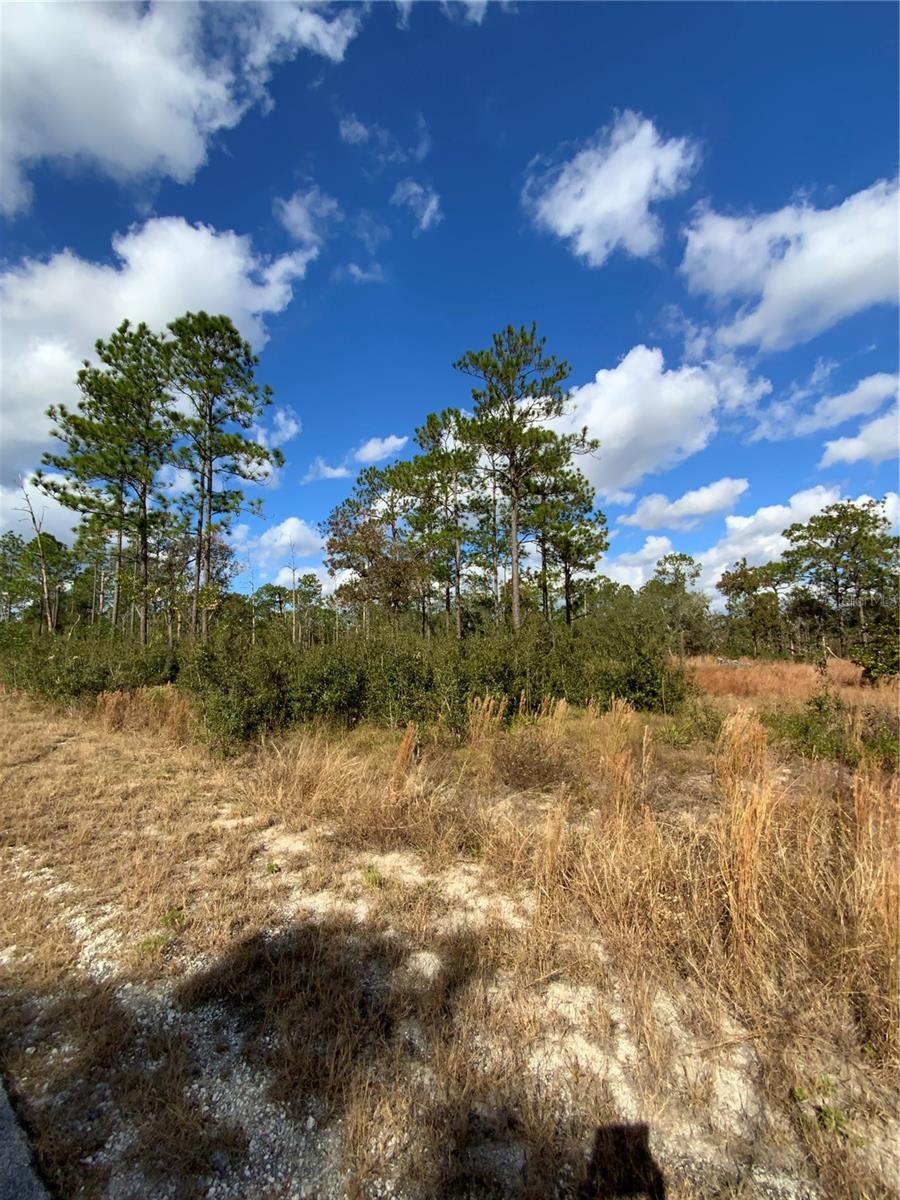 RAINBOW LAKES ESTATES - Residential