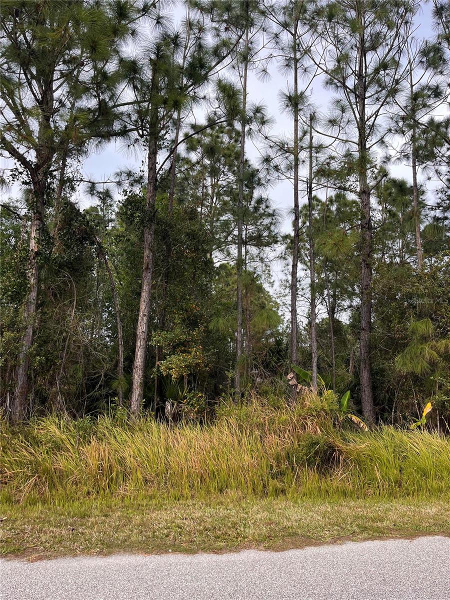 1573 - PORT CHARLOTTE SUB 26 - Land