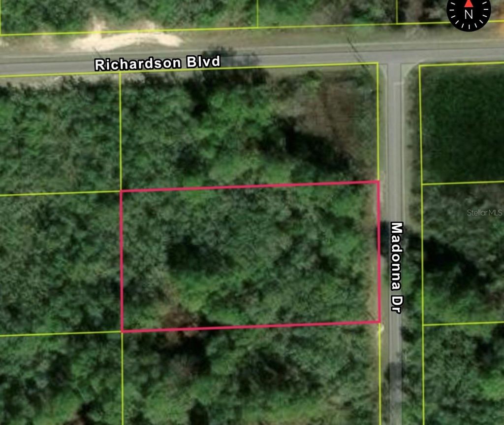 Photo of 0 Madonna Dr, Lot 2, Webster, FL 33597 (MLS # S5148200)