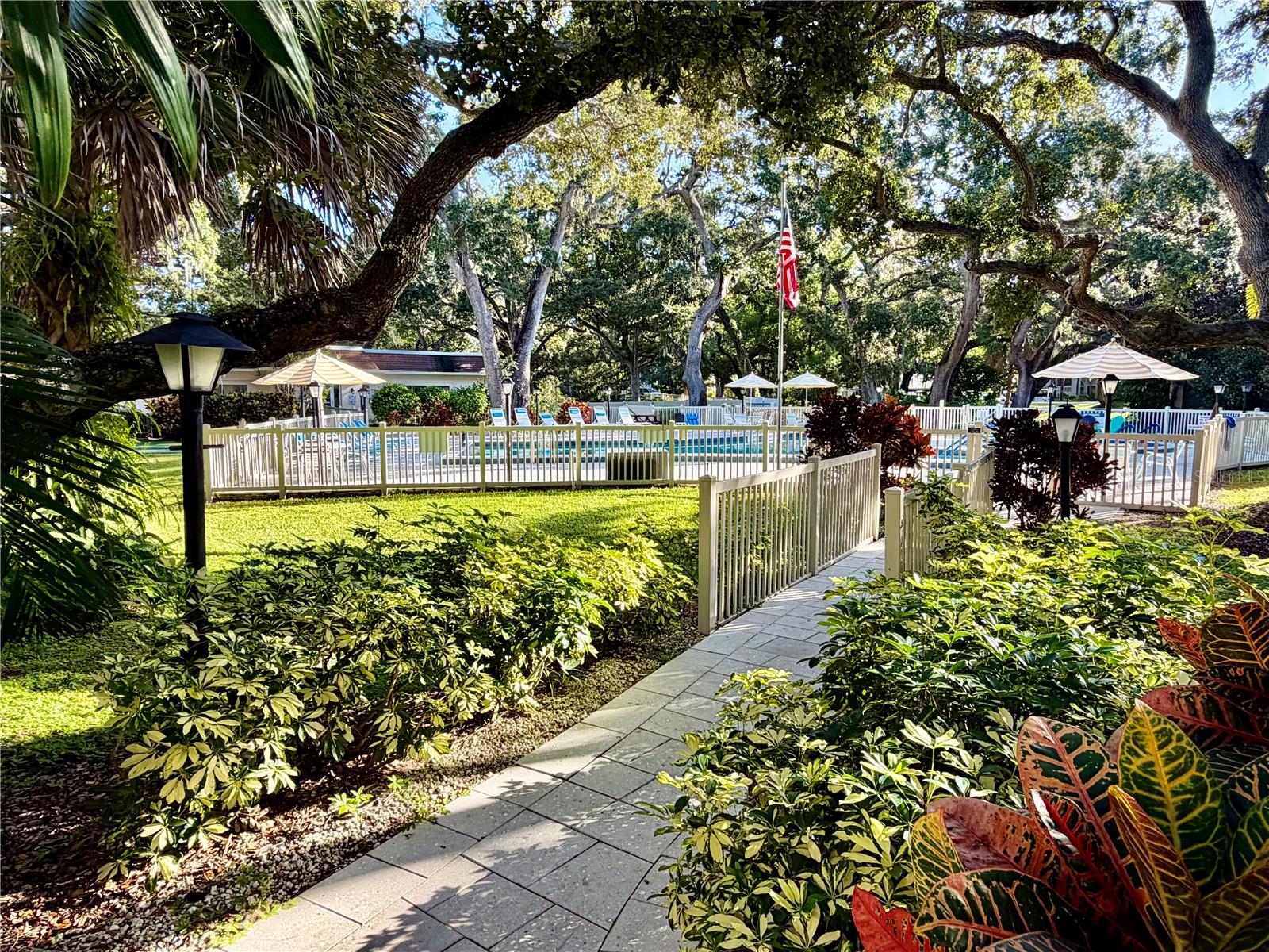 PATRICIAN OAKS - Residential