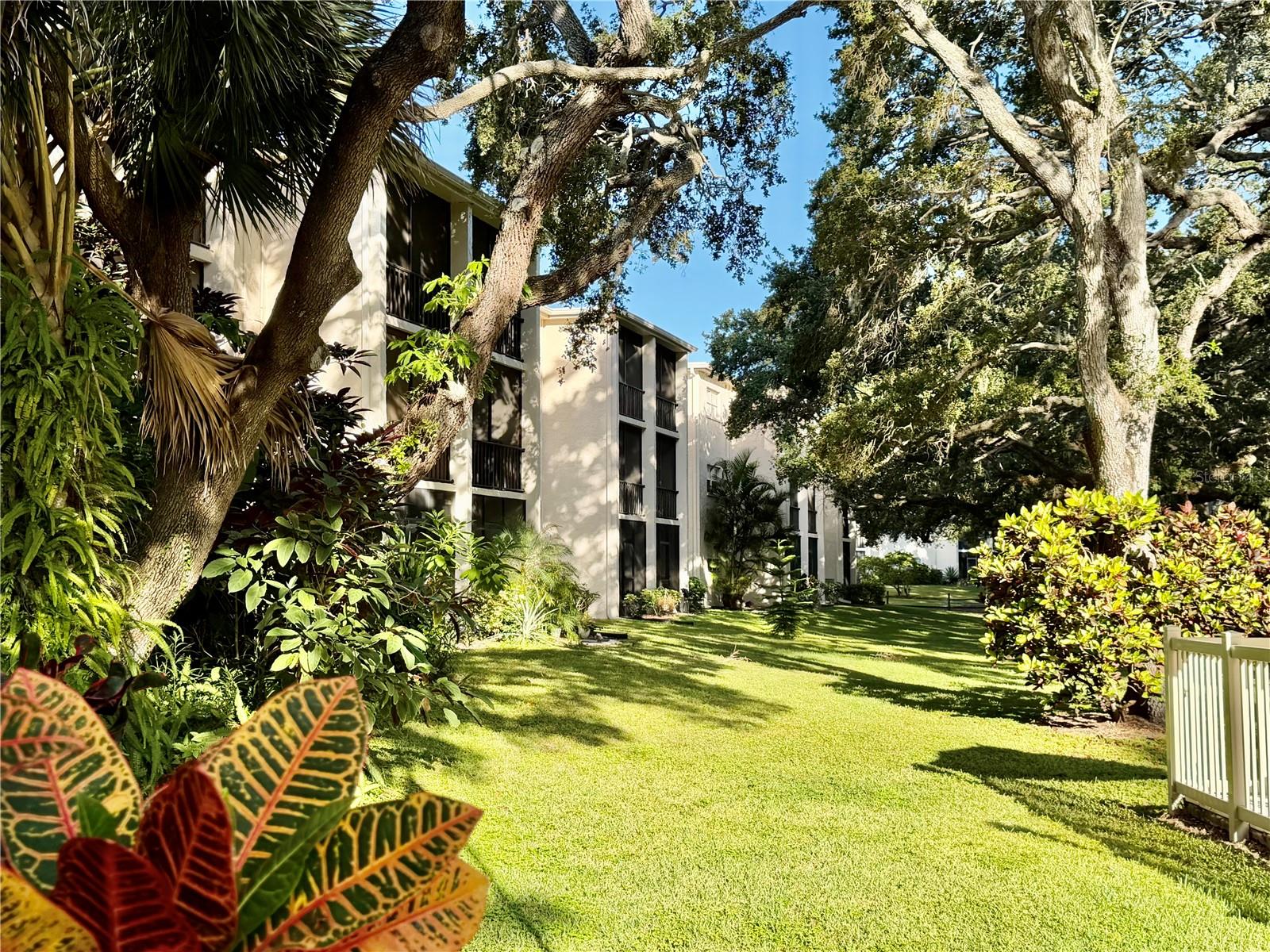 PATRICIAN OAKS - Residential