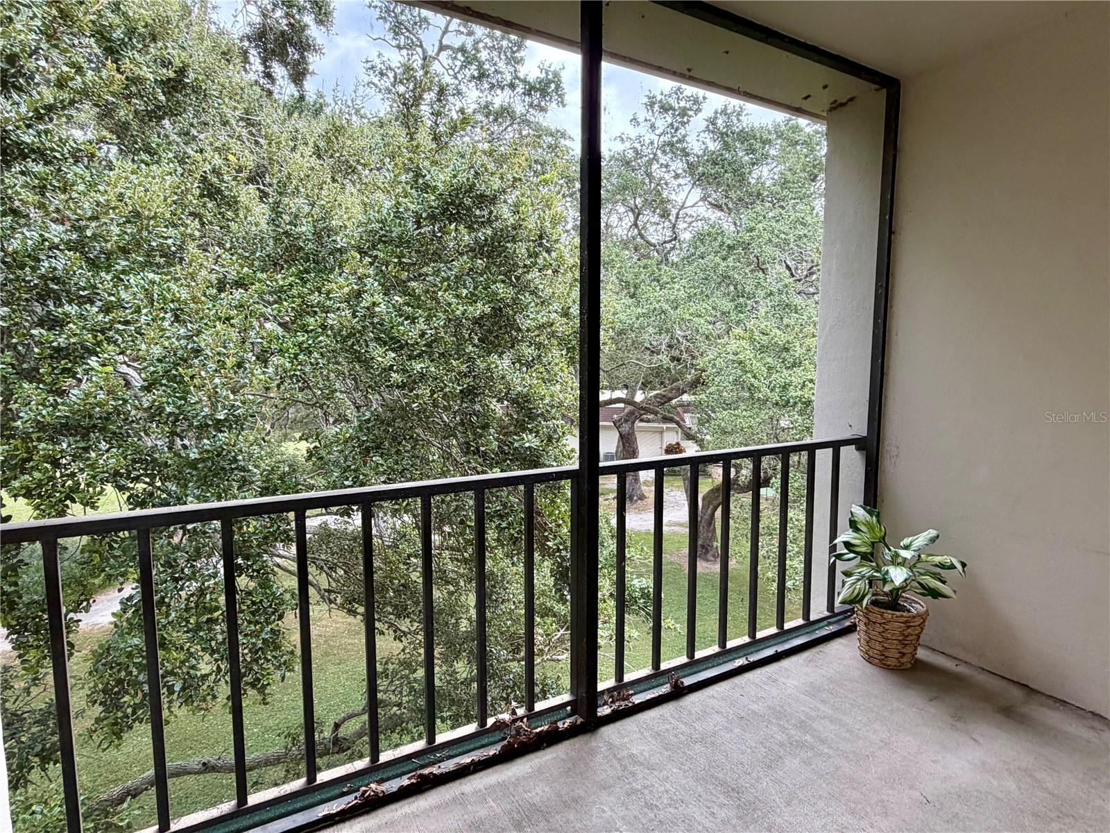 PATRICIAN OAKS - Residential