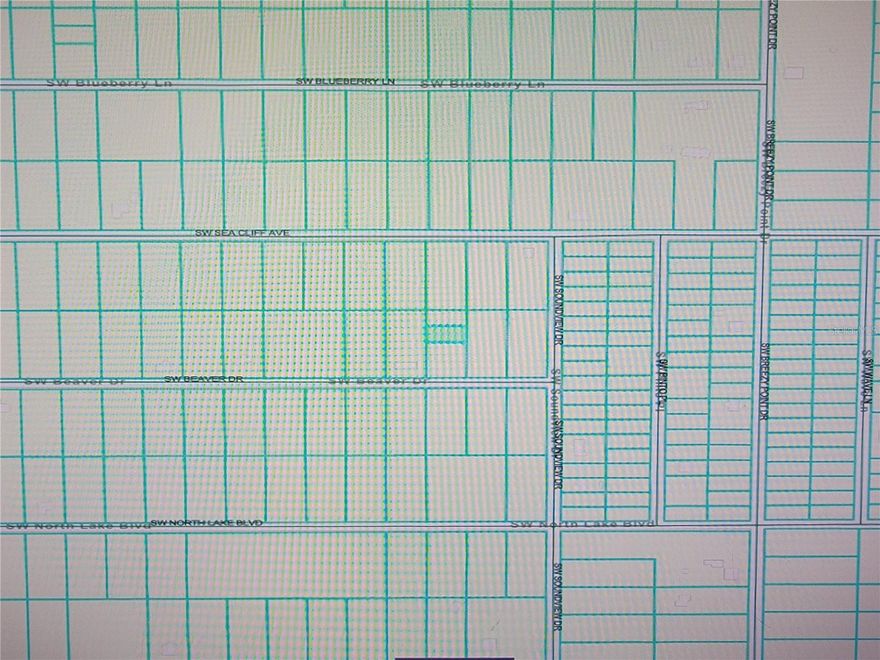 .23 Acre building parcel located in area of conventional homes, just minutes from desirable Rainbow River in Marion County, FL.  Property contains mixture of hardwoods; maintain trees for privacy or clear and enjoy the FL sunshine and garden year round.  No HOA nor restrictions on builder or home size.  Buy now and build in the future.  Property central to Dunnellon which offers shopping, schools and minutes from Ocala and Crystal River which offers access to the Gulf of Mexico if you enjoy fishing.