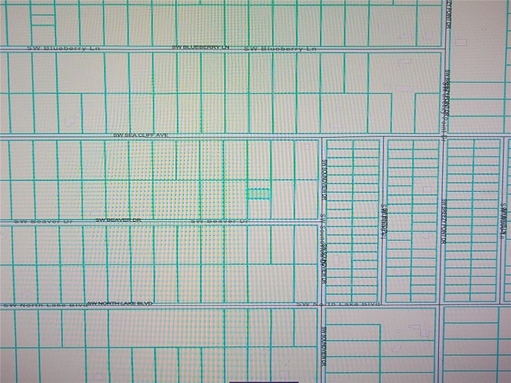 Photo of 0 SW Beaver Drive, Dunnellon, FL 34432 (MLS # OM700496)