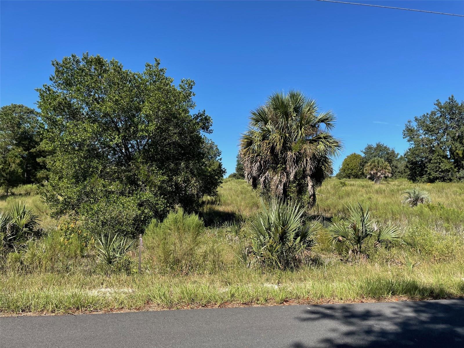 LOT 14 SW WISTERIA COURT