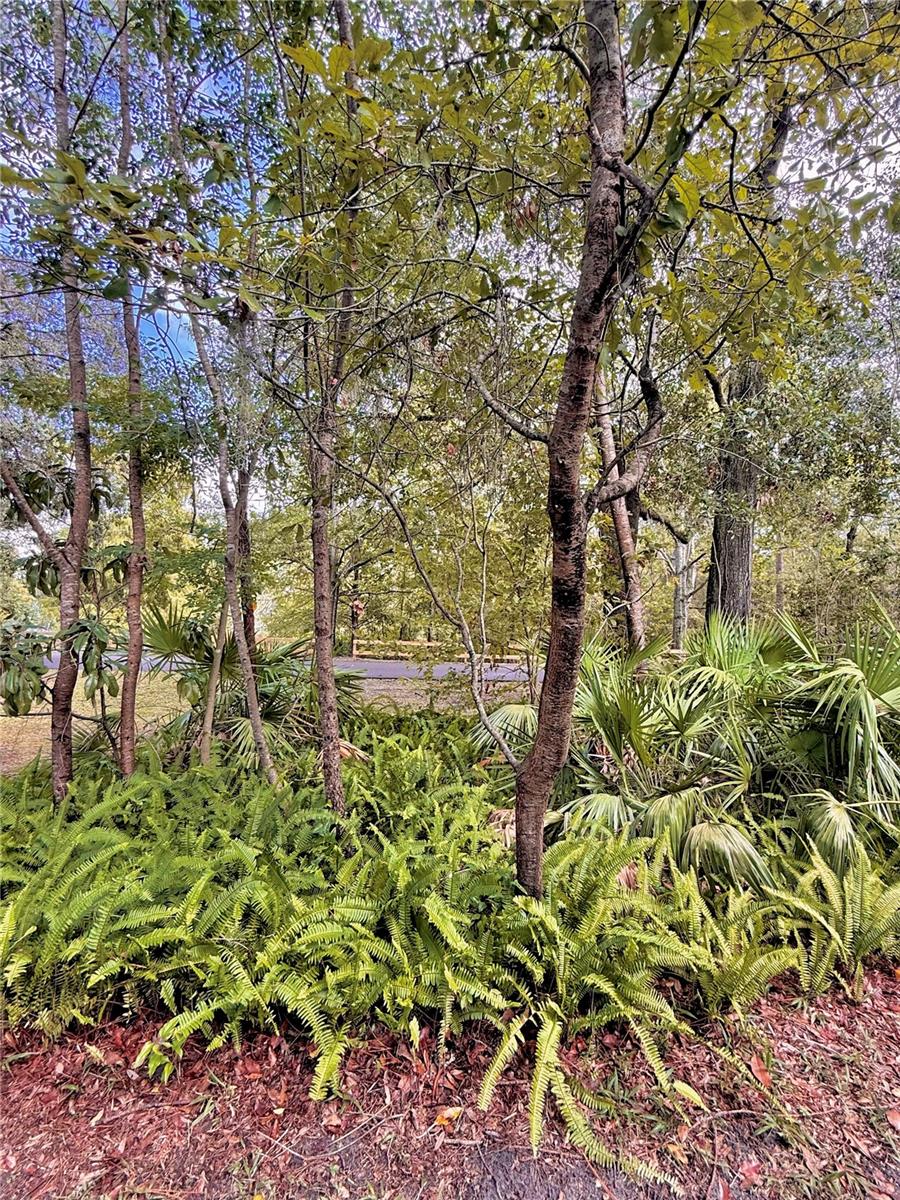 BELLAMY FORGE - Residential Lease