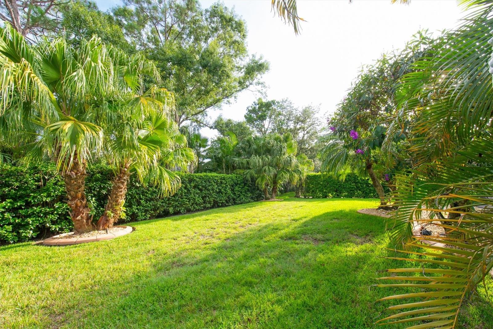 MOTE RANCH PH IV-C - Residential