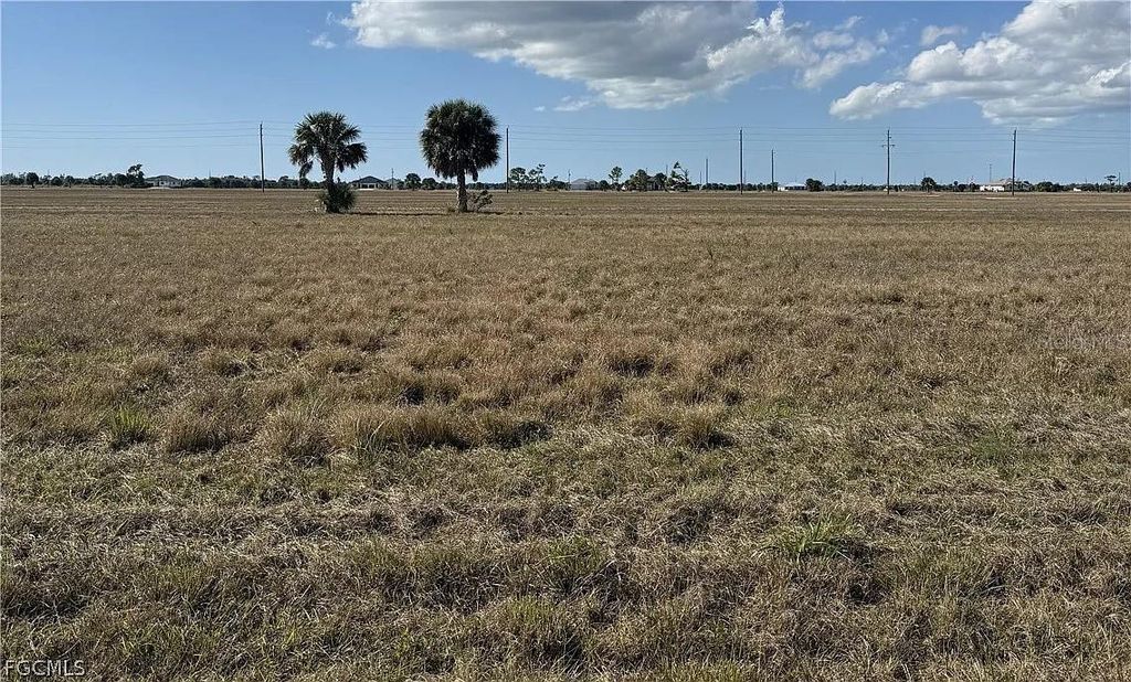 Photo of Placida, FL 33946 (MLS # O6410396)