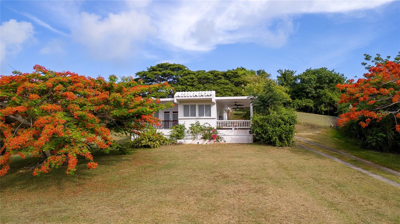 Casa Seasmoke is a well-kept 3-bedroom, 2-bath home on over an acre in quiet Puerto Real, just 5 minutes from Esperanza.
This 1400 sq. ft. house features a master suite with private entrance, en suite bathroom, large walk-in closet, and office nook. French doors open to a front porch with views of farms and hills. The property itself has beautiful, large Flamboyan trees that put on a spectacular show in bloom, plus pineapples growing on-site.
Highlights:
Storm/security-grade windows and doors
Updated kitchen (within 5 years)
Newer A/C units
Upgraded lighting and fans
Fully fenced yard with automatic gate
Large shaded back yard with room to expand or build up for better views
Ideal for anyone seeking a quiet spot close to the bustle of town. Fully furnished at list price.