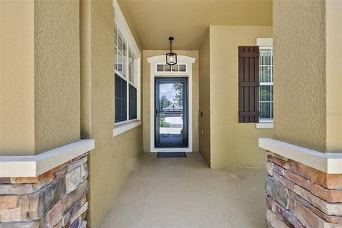 A home in MOUNT DORA