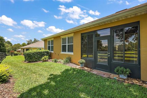 A home in MOUNT DORA