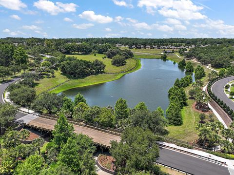 A home in MOUNT DORA