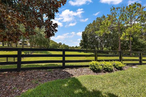 A home in MOUNT DORA