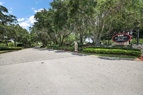 A home in MOUNT DORA