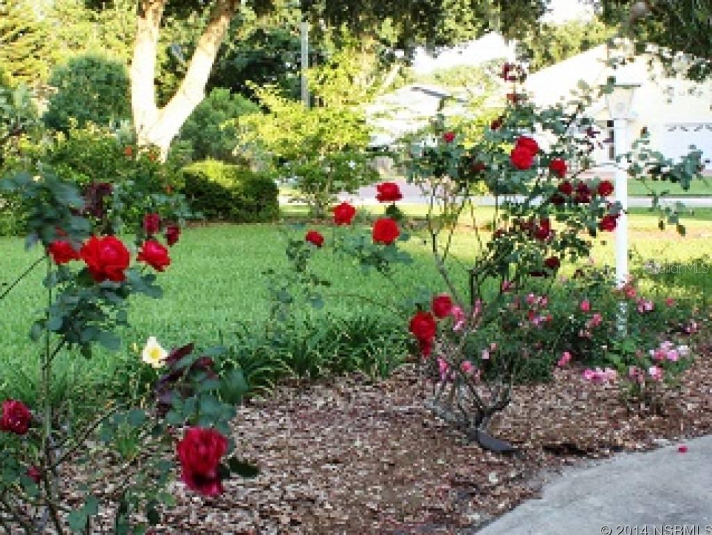 Indian Harbor Estates Unit 04 - Residential