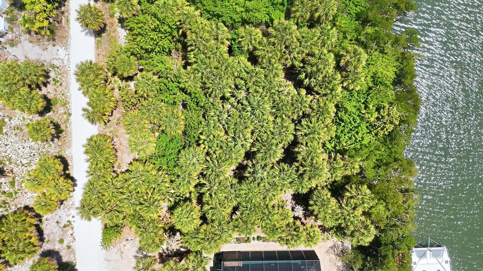 PALM ISLAND ESTATES UN 3 - Land