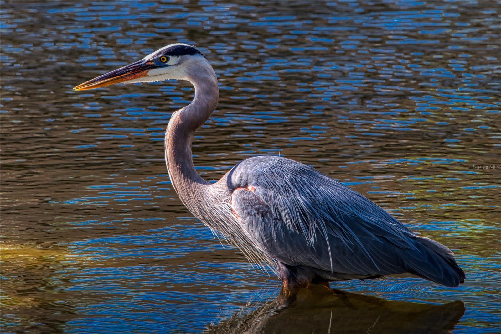 TWIN LAKES VILLAGE WEST CONDO BLDG T - Residential