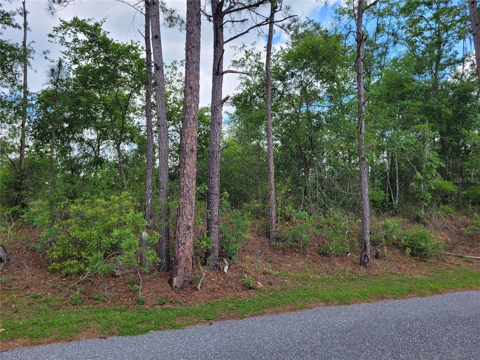 Are you looking a nice place to build your new home? , this is the place, 10.01 acres lot on paved road near to Fort White. Bring your horses, you will enjoy this peace and quiet location. See attached a survey, and contact Columbia County for guidance.