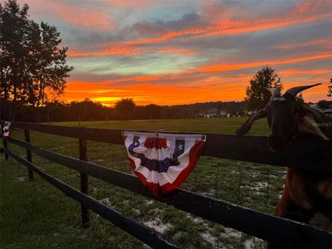 Tiny photo for 1636 Lake Ella Road, Fruitland Park, FL 34731 (MLS # G5108651)