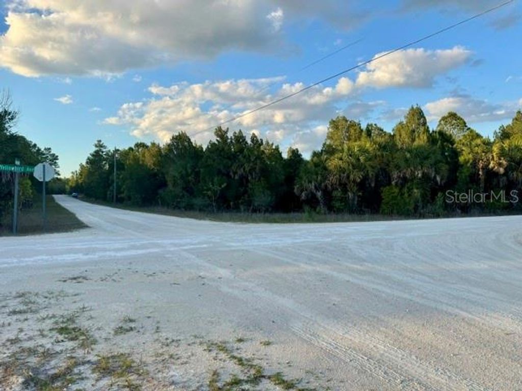Photo of Rapidan Road, Weeki Wachee, FL 34614 (MLS # W7885439)