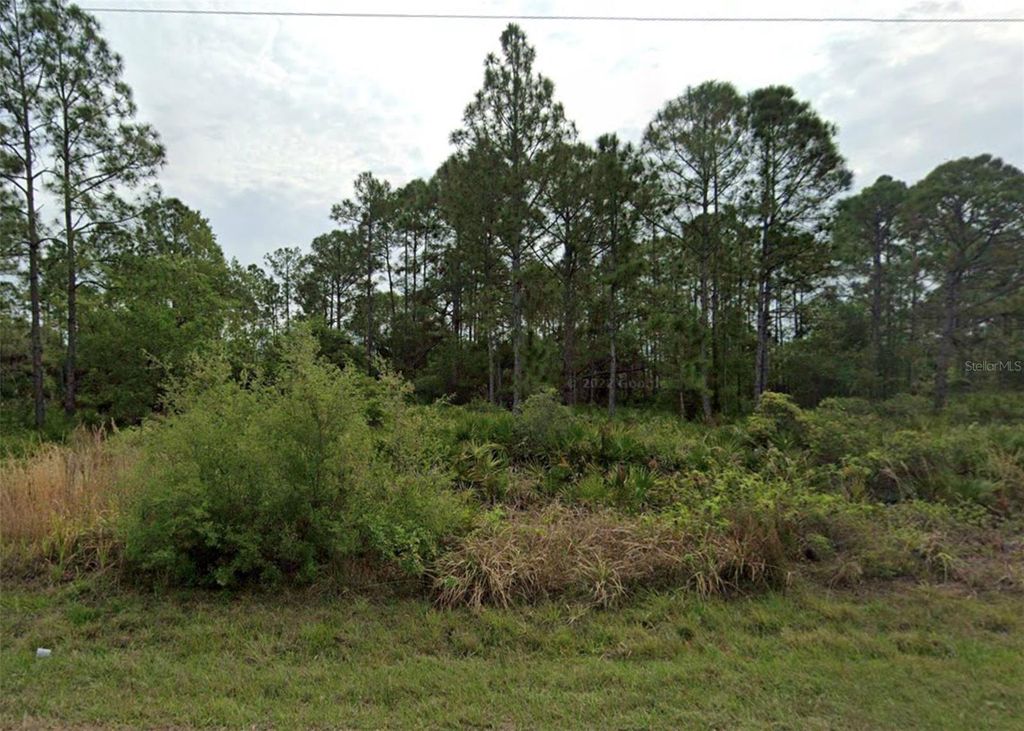 Photo of 3262 Tiffiny Street, Port Charlotte, FL 33980 (MLS # O6385635)