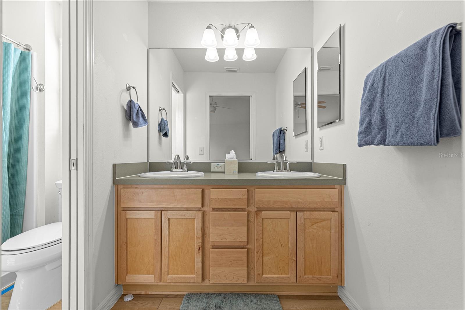 VILLAGES OF SUMTER - Residential