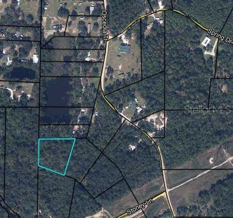 STONEY LANE MIDDLEBURG FL 32068