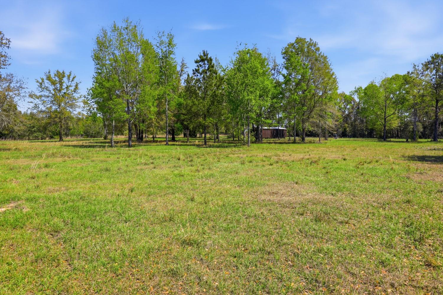 OLD NIBLACK FARMS - Land