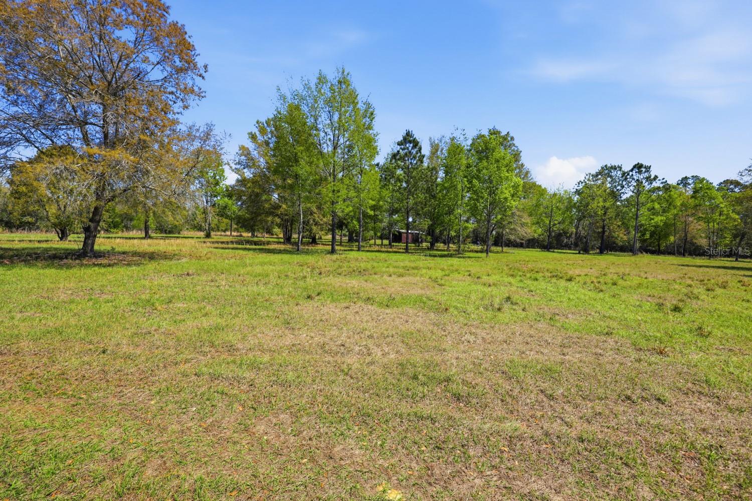 OLD NIBLACK FARMS - Land