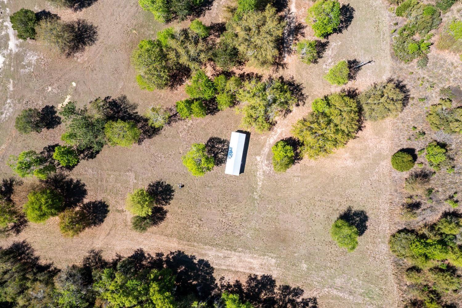 OLD NIBLACK FARMS - Land